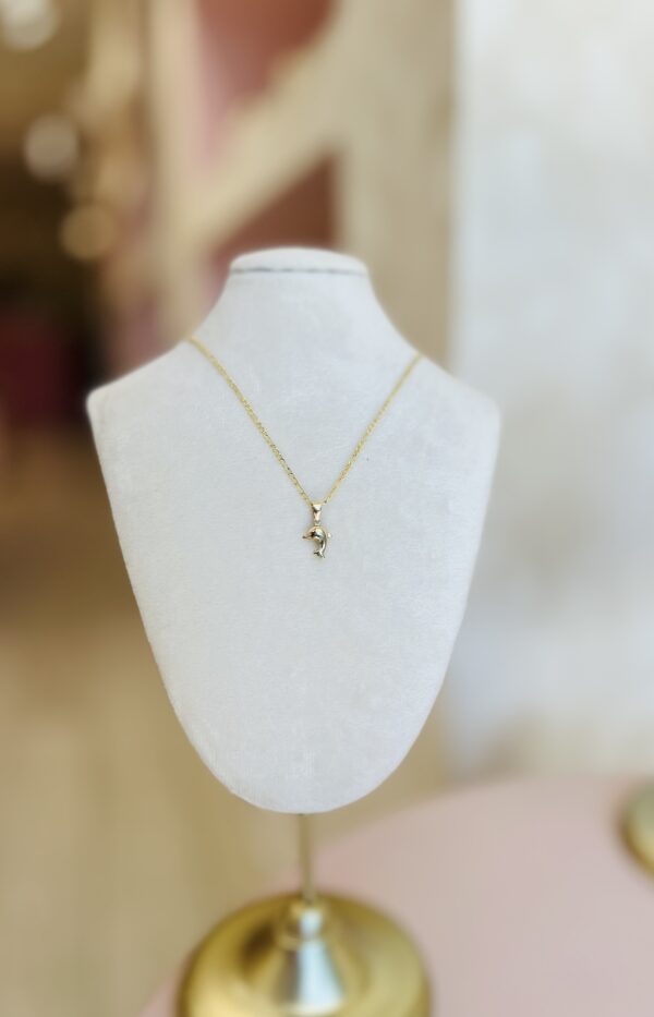 Cadena Delfín Oro 10k